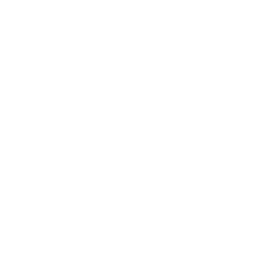      .    -   133 .