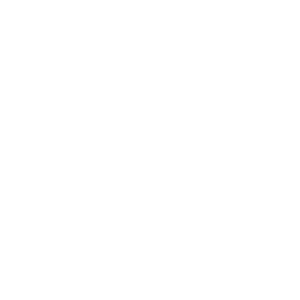        -   161 .