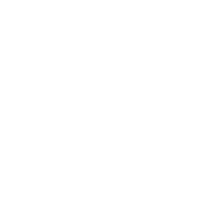        -   65 .