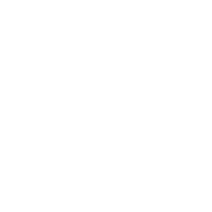       - -   81 .