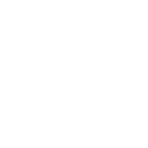        -   65 .