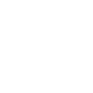        -   65 .