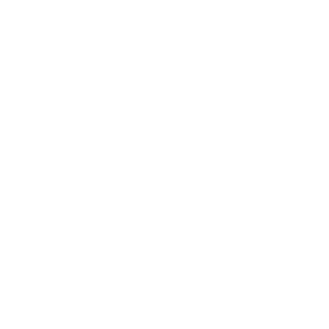        -   65 .