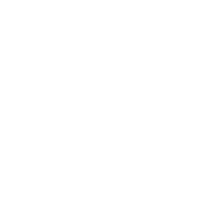      Monster Truck -   147 .