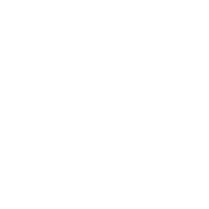   Ford Style Club -   133 .