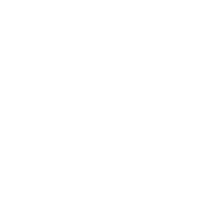      Ford Style Club -   133 .