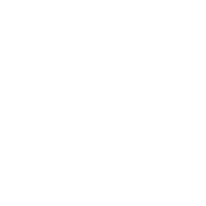      Flower-girl -   110 .