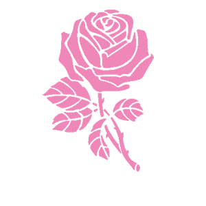      Flower -   120 .