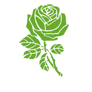    -  Flower -   120 .