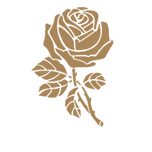    -  Flower -   120 .