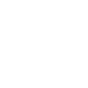      Flower -   120 .