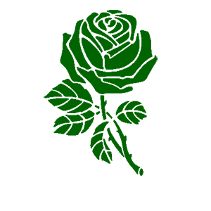      Flower -   120 .