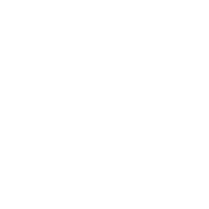       (Pokemon) -   88 .