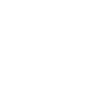   (Pokemon)