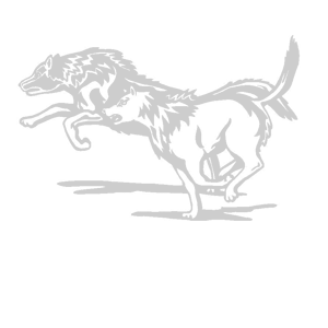 ����������� �� ����������� ���������� �������� �������� ����� - ������ �� 139 ���.