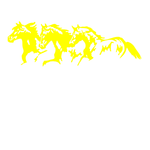        -   85 .