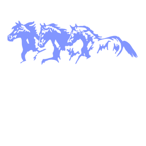        -   85 .