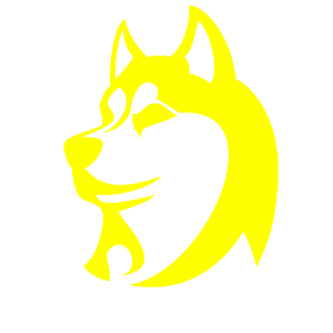    -   91 .