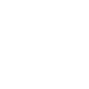      06 RUS ( ) -   68 .