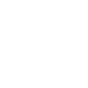      07 RUS (- ) -   68 .