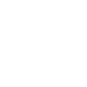      08 RUS ( ) -   68 .