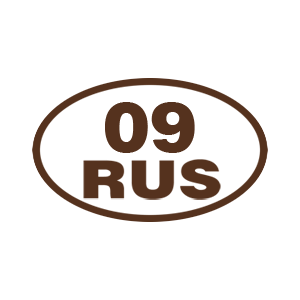 Наклейка «09 RUS (Республика Карачаево-Черкесия)»