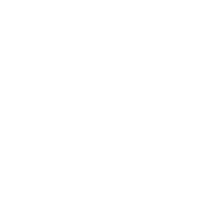      25 RUS ( ) -   85 .