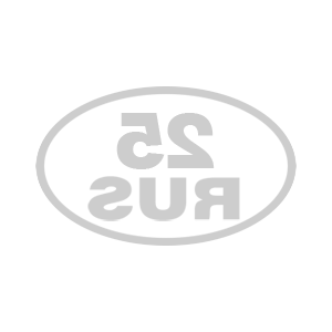     25 RUS ( ) -   85 .