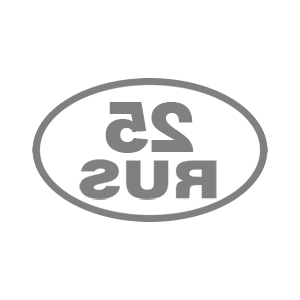      25 RUS ( ) -   85 .