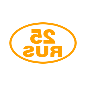      25 RUS ( ) -   85 .