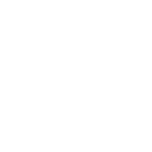      40 RUS ( ) -   68 .