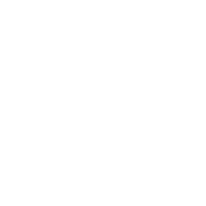      44 RUS ( ) -   68 .