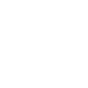      90 RUS ( ) -   68 .