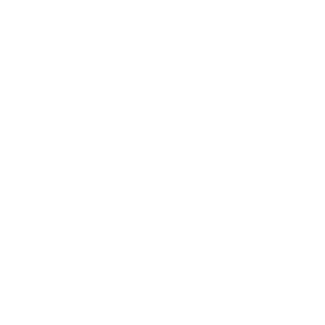 ����������� �� ����������� ����� �������� �190 RUS (���������� �������)� - ������ �� 68 ���.