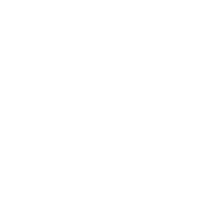 ����������� �� ����������� ����� �������� �54 RUS (������������� �������)� - ������ �� 68 ���.