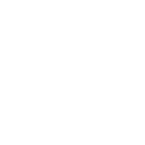     60 RUS ( ) -   68 .