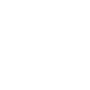      68 RUS ( ) -   85 .