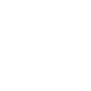      80 RUS ( ) -   68 .