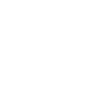      86 RUS (-   ) -   96 .
