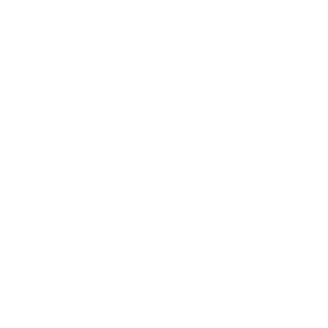      89 RUS (-  ) -   106 .
