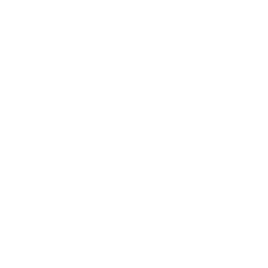   Fight Club ( ) -   141 .