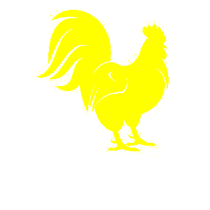    -   133 .