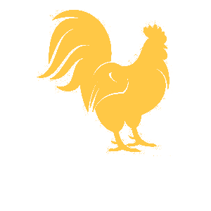    -   133 .
