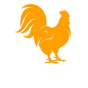    -   133 .