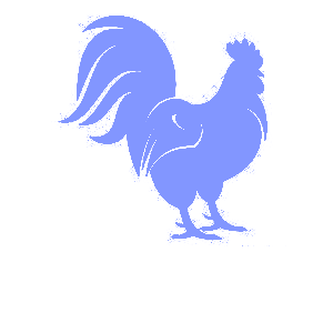    -   133 .