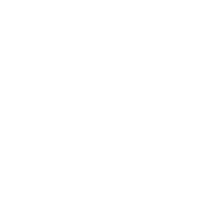        -   161 .