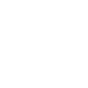        -   161 .