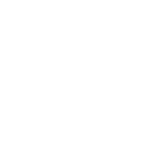      -   161 .