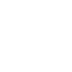         -   161 .