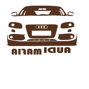      Audi mafia -   120 .